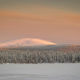 Jeris week 45 12-5349